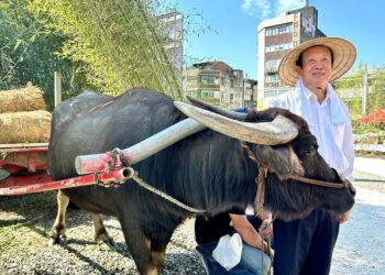 談20年！釘子戶超硬　建商霸氣剔除…地主後悔了！淪「孤島」15層樓包夾