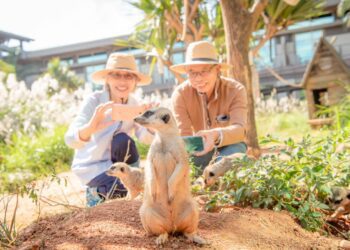 關西六福莊迎接女神降臨!招待女神fun假來玩-3+1=6全家四口輕鬆出遊再加贈兩位女神同行不加價