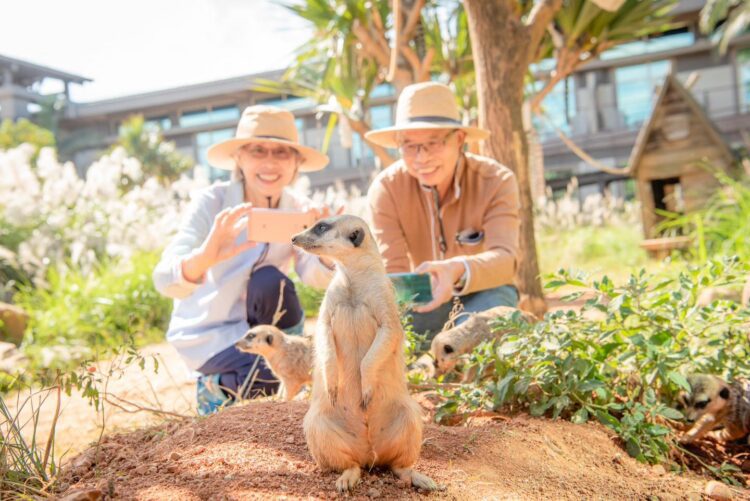 關西六福莊迎接女神降臨!招待女神FUN假來玩 3+1=6全家四口輕鬆出遊再加贈兩位女神同行不加價 關西六福莊迎接女神降臨!招待女神fun假來玩-3+1=6全家四口輕鬆出遊再加贈兩位女神同行不加價