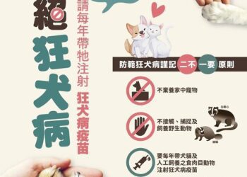 鼬獾狂犬病再現恆春鎮-請民眾提高警覺