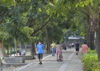 水與綠生物多樣化的檨仔林埤公園