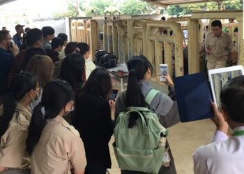 手刀報名-2024台灣動物界年度盛事-舉辦國際巨型草食獸麻醉工作坊