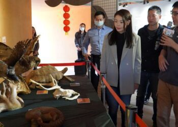 新竹市立動物園推「動物保育齊步走」 邀請親子看展集章挺保育