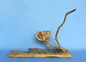 「傳奇再現」林凌創作回顧展開展