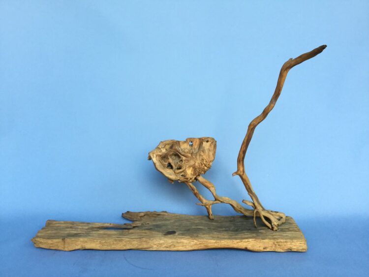 「傳奇再現」林凌創作回顧展開展 「傳奇再現」林凌創作回顧展開展