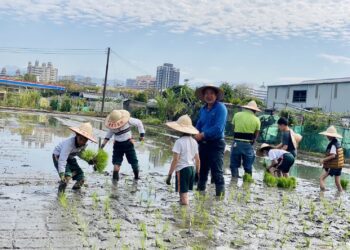 推動食農教育 大里農會攜手在地學校辦農耕體驗