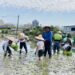 推動食農教育 大里農會攜手在地學校辦農耕體驗 推動食農教育 大里農會攜手在地學校辦農耕體驗