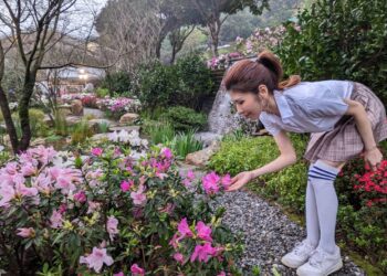 「花開落籽．河畔杜鵑饗宴」萬金杜鵑  2/22新北萬里熱鬧登場
