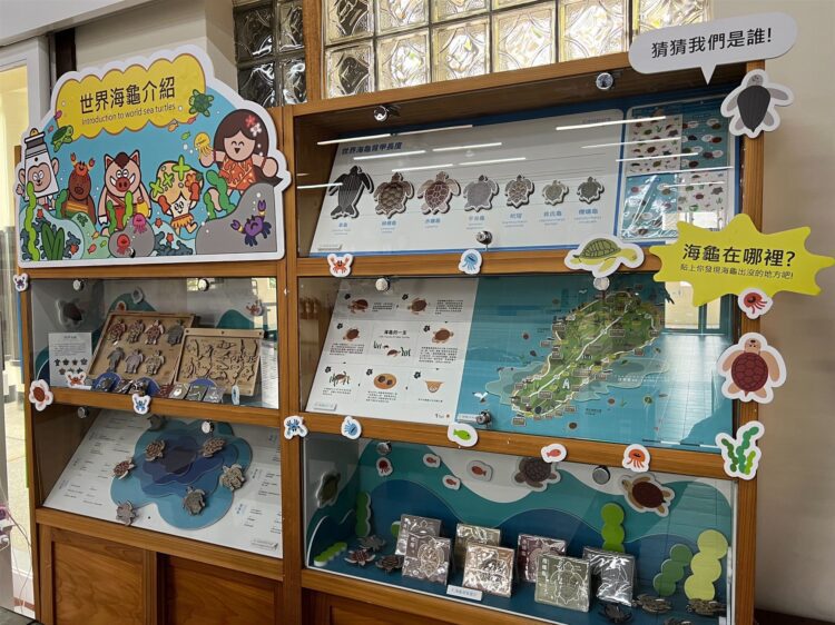 讓遊客更了解海龜 小琉球遊客中心打造「世界海龜介紹」櫥窗 讓遊客更了解海龜 小琉球遊客中心打造「世界海龜介紹」櫥窗