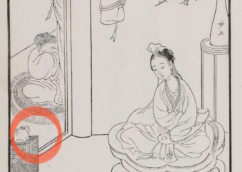 《紅樓夢》揭開老君眉的身世