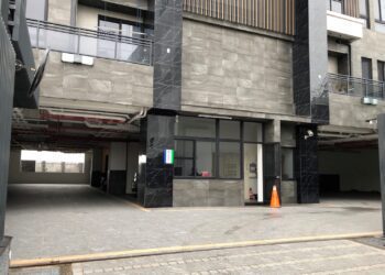 年輕人愛住「這款」…集透天所有優點難取代！-專家反曝居安隱憂