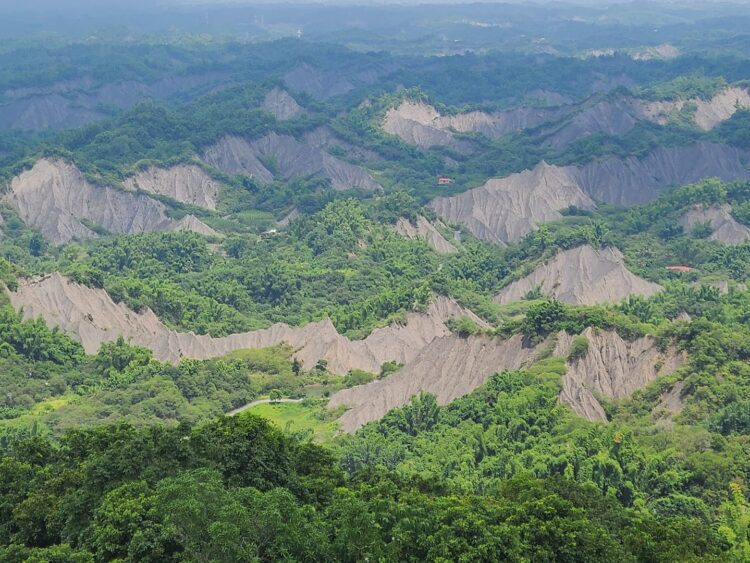 社群成癮不可怕!臺南「張老師」4招帶你找回自我