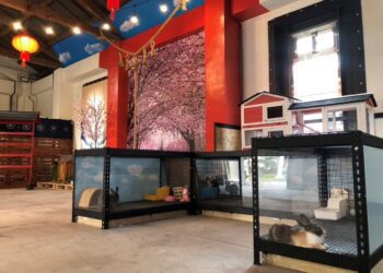 旗糖農創園區招商有成-盼打造東高雄首座寵物友善空間