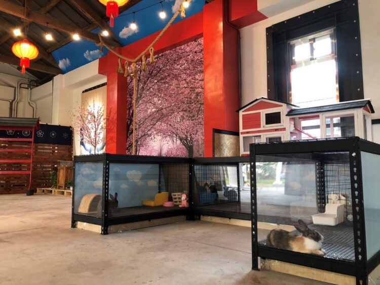 旗糖農創園區招商有成-盼打造東高雄首座寵物友善空間