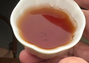 飲詩有感｜嗅覺精新極，嘗知骨自輕