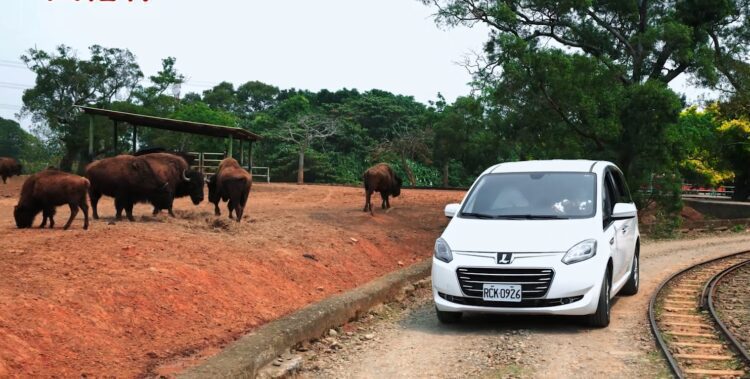 兒童連假未滿6歲免費入園-暢玩六福村再享全民學童價-六福村歡慶45周年限定活動-首發團動物園自駕遊限量搶訂