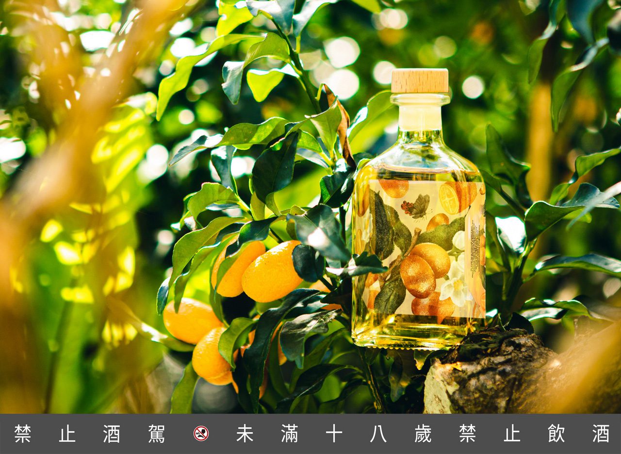 宜蘭竄紅微醺酒香森林秘境 上班族的療癒系景點