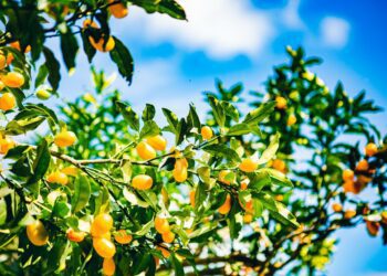 宜蘭竄紅微醺酒香森林秘境 上班族的療癒系景點