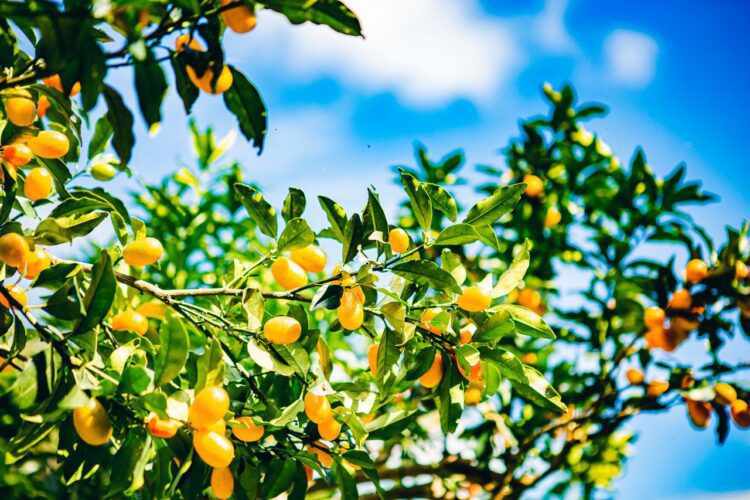 宜蘭竄紅微醺酒香森林秘境 上班族的療癒系景點