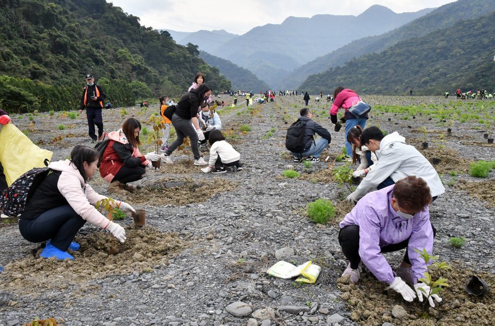 植樹3,500棵樹苗預計增加碳匯量破萬公斤 農村水保署臺北分署積極落實永續