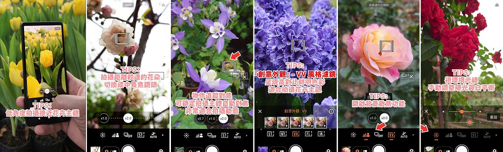 Sony 推春季 Xperia 購機好禮　再分享旗艦機專用賞花攝影技巧