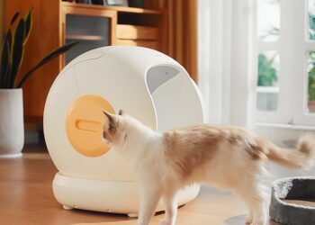 終於告別鏟屎官！UBPet C20 全新89L 巨容量智能貓砂機　嘖嘖早鳥優惠首發日 15 分鐘火速達標創下百萬營收！