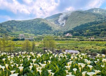 清明連假這樣玩！7個連假旅遊景點，保證過節不無聊！ 