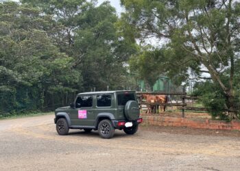 六福村動物園自駕遊經典再現-歡慶45周年強勢回歸-未滿6歲免費入園