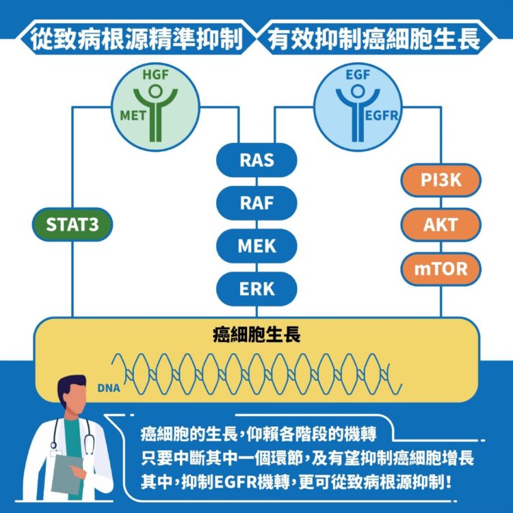 確診大腸癌50%以上中晚期 精準治療可望治癒抗癌 確診大腸癌50%以上中晚期-精準治療可望治癒抗癌
