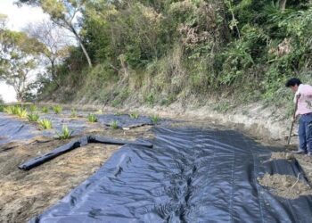 農耕整修自家山坡地也挨罰！　水利局提醒先做「這件事」