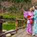 夏天旅遊日本怎麼玩?夏季日本景點推薦！