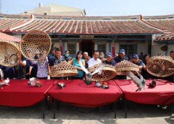 2024義竹鴿笭文化季開籠