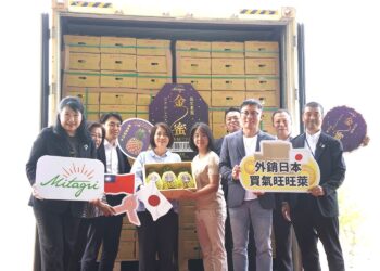 屏東鳳梨「金蜜鳳梨」封櫃外銷日本belx超市-外銷訂單穩定成長