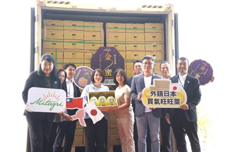 屏東鳳梨「金蜜鳳梨」封櫃外銷日本belx超市-外銷訂單穩定成長