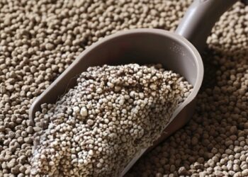 貓咪低血鉀風暴-食在吃不得