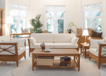 必嗨換色！詩肯柚木50週年限定登場！再進化超幻色彩潮色布套不容錯過！