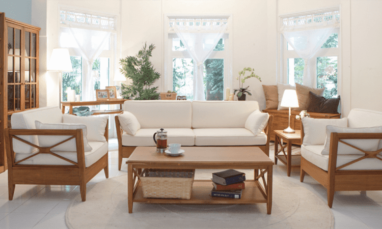 必嗨換色！詩肯柚木50週年限定登場！再進化超幻色彩潮色布套不容錯過！