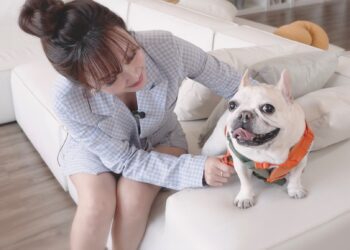 守護毛孩健康 日首創寵物燕窩