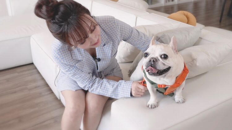 守護毛孩健康 日首創寵物燕窩