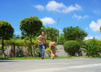 「國際寵物日」寵毛孩4點小心 專家：恐成健康隱形殺手