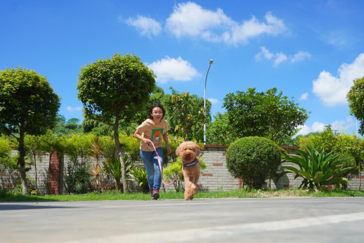 「國際寵物日」寵毛孩4點小心 專家：恐成健康隱形殺手