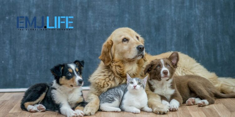 emj.life–定義未來的寵物數位互動新時代