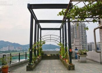 崩潰！到空中花園看夜景　驚覺竟成「它」老巢…網嚇歪：以後拒買