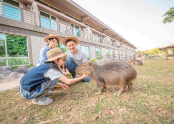 全台母親再啟少女心-來六福村享專屬vip公主般待遇-呆萌動物療癒滿分-限定甜點夢幻登場