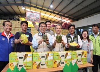 臺南市擴展農特產外銷-鳳梨出口紐西蘭搶下頭香