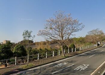 台中大肚山「最後綠地」恐消失？環團訴求曝光