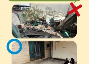 高雄市本土登革熱+0-境外移入+1-籲請民眾至東南亞國家旅遊-做好防蚊措施