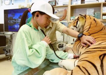 暑期生態營隊限額釋出-關西六福莊小小獸醫實習營全台唯一限額釋出