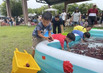 潮好玩市集月月創新-推車競賽，親子同樂!