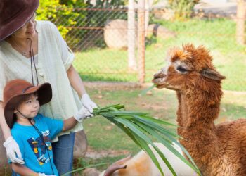 六福村45周年生日派對-動物變裝超優惠-動物導覽、體驗包羅萬象喜愛動物千萬別錯過